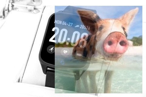 Zegarek męski RNCE42BIBX01AX