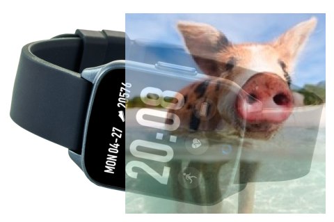 Zegarek męski RNCE42DIBX01AX