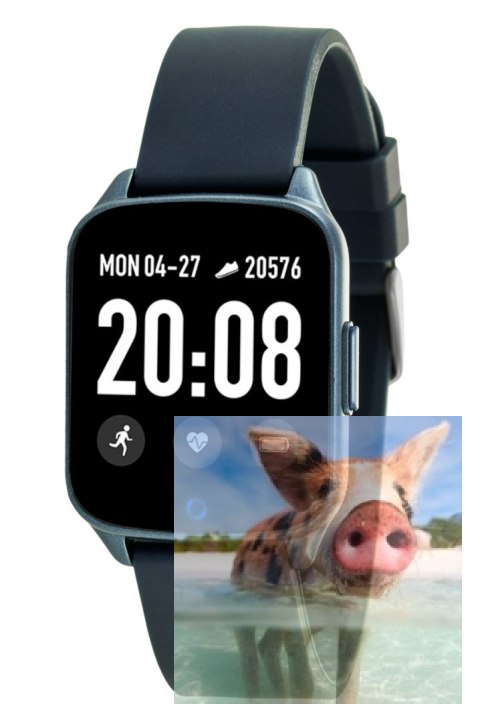 Zegarek męski RNCE42DIBX01AX