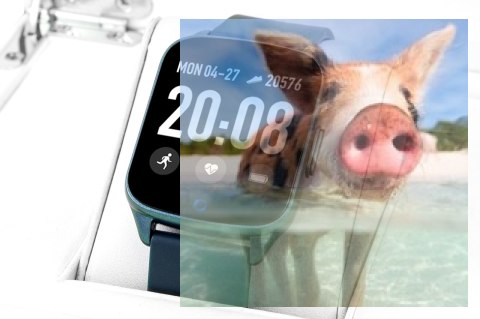 Zegarek męski RNCE42DIBX01AX