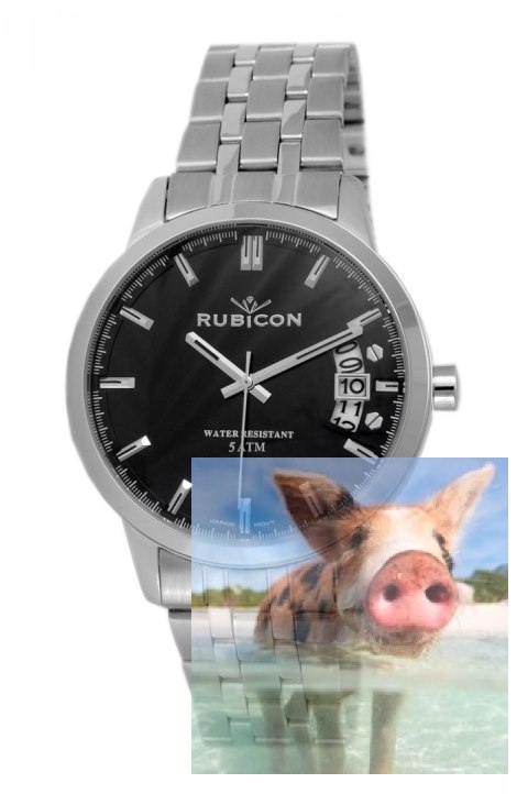 Zegarek męski RNDD82SIBX05BX