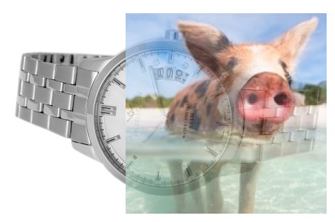 Zegarek męski RNDD82SISX05BX