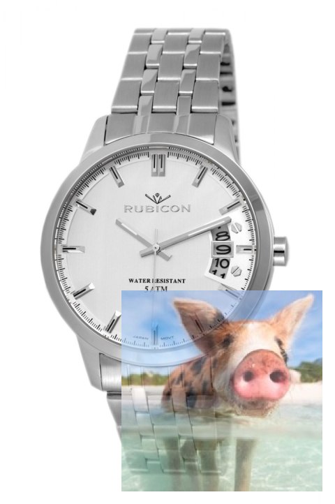 Zegarek męski RNDD82SISX05BX