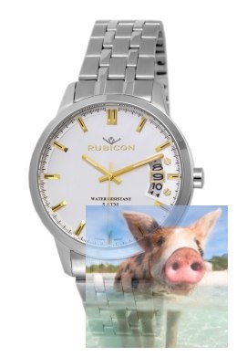 Zegarek męski RNDD82SISG05BX