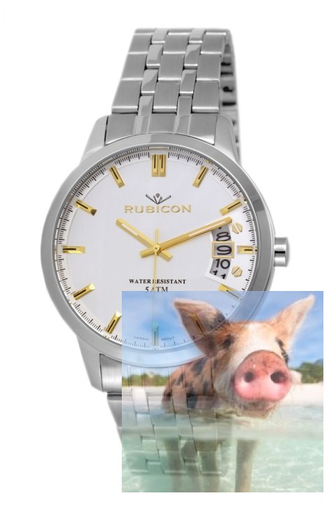 Zegarek męski RNDD82SISG05BX Zegarek męski RNDD82SISG05BX