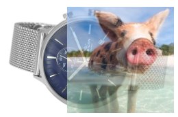 Zegarek męski RNDD97SIDX05AX