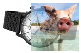 Zegarek męski RNDE01BISX05AX