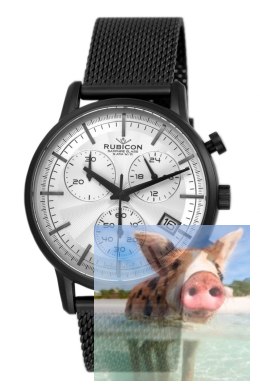 Zegarek męski RNDE01BISX05AX