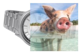 Zegarek męski RNDE08SISX05BX