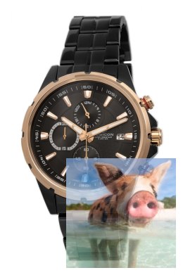 Zegarek męski RNDE09TIBZ05AX