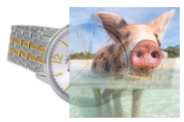 Zegarek męski RNDE15TMSX05BX