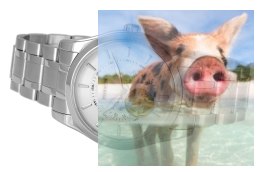 Zegarek męski RNDE17SISX05AX