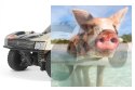 Axial Yeti Jr. SCORE Trophy Truck 1:18 4WD RTR