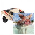 Axial Yeti Jr. SCORE Trophy Truck 1:18 4WD RTR