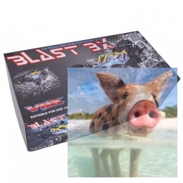Blast BX 1:8 2.4GHz bezszczotkowy - R0236