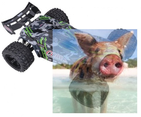 COBRA EBL 1:8 Buggy Brushless 60km/h 2.4GHz RTR - R0249