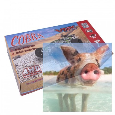 COBRA EBL 1:8 Buggy Brushless 60km/h 2.4GHz RTR - R0249