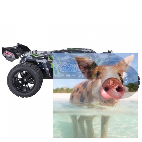 COBRA EBL 1:8 Buggy Brushless 60km/h 2.4GHz RTR - R0249