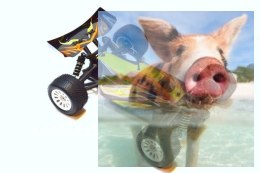 Dart XB Buggy 2.4GHz