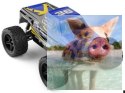 Fanatical A323 1:12 2WD 2.4GHz