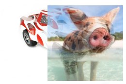 Mega Mayhem Bezszczotkowy 1:8 4WD 2.4GHz RTR - 80310