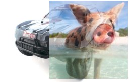 Mega Mayhem Bezszczotkowy 1:8 4WD 2.4GHz RTR - 80310