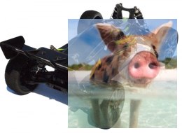 Mega Shootout bezszczotkowy 1:8 4WD 2.4GHz RTR - 80302