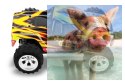 Monster Truck A979-A 1:18 4WD 2.4GHz
