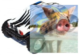 PROWLER MT 1:12 2.4GHz RTR - 21314Y