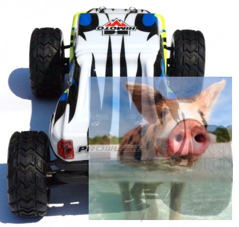 PROWLER MT 1:12 2.4GHz RTR - 21314Y