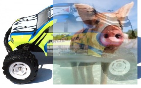 PROWLER MT 1:12 2.4GHz RTR - 21314Y