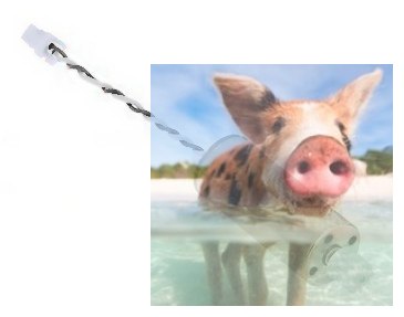 Silnik B do JJRC H37