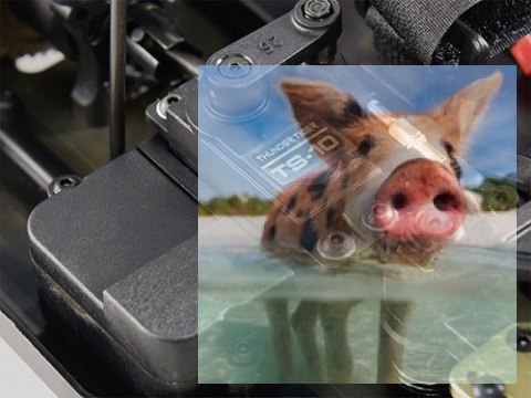 Thunder Tiger BUSHMASTER 8E 1/8 4WD 2.4GHz Buggy RTR - wersja 6S, bezszczotkowy - F131P