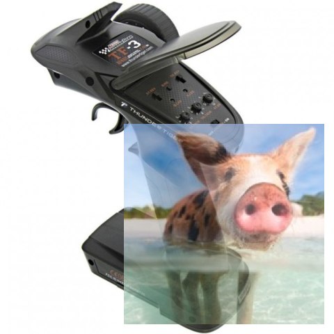 Thunder Tiger BUSHMASTER 8E 1/8 4WD 2.4GHz Buggy RTR - wersja 6S, bezszczotkowy - F131P