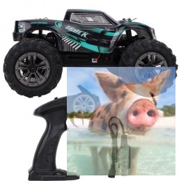 Truck Racing 4WD 1:20 2.4GHz RTR - Zielony