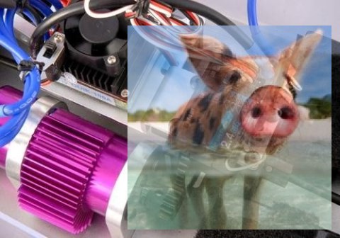 VRX-1E Buggy 4WD 2.4GHz RTR bezszczotkowy 80+km/h - R0022