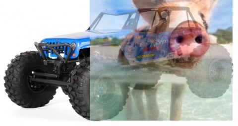 Axial Jeep Wrangler Wraith-Poison 1:10 4WD ARTR Axial Jeep Wrangler Wraith-Poison 1:10 4WD ARTR