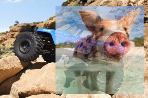 Axial Jeep Wrangler Wraith-Poison 1:10 4WD ARTR Axial Jeep Wrangler Wraith-Poison 1:10 4WD ARTR