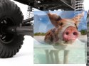 Axial SCX10 Deadbolt 1:10 4WD ARTR
