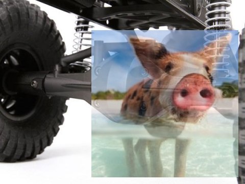 Axial SCX10 Deadbolt 1:10 4WD ARTR Axial SCX10 Deadbolt 1:10 4WD ARTR