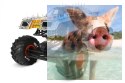 Axial SMT10 MAX-D Monster Jam Truck 1:10 4WD ARTR