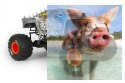 Axial SMT10 MAX-D Monster Jam Truck 1:10 4WD ARTR