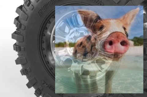 Axial Yeti XL Monster Buggy 1:8 4WD ARTR