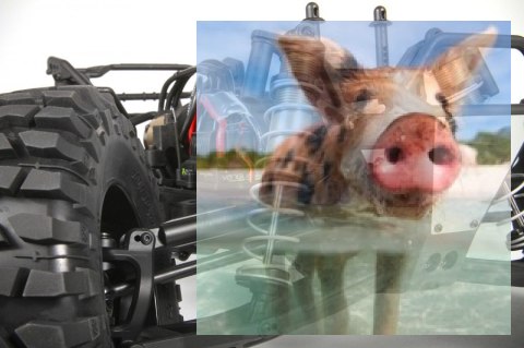 Axial Yeti XL Monster Buggy 1:8 4WD ARTR