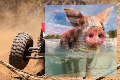 Axial Yeti XL Monster Buggy 1:8 4WD ARTR