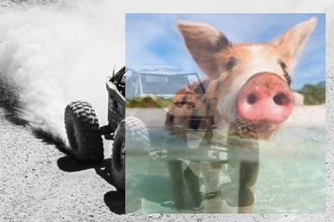 Axial Yeti XL Monster Buggy 1:8 4WD ARTR