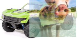 Axial Yeti SCORE Trophy Truck 1:10 4WD ARTR