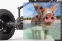 Axial Yeti SCORE Trophy Truck 1:10 4WD ARTR