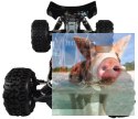 Buggster EBD 2.4GHz - R0072