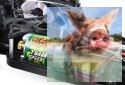 Buggster EBD 2.4GHz - R0072